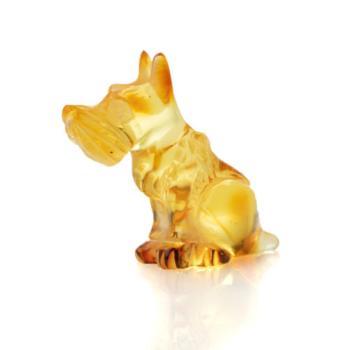 Bernstein-Hund Schnautzer